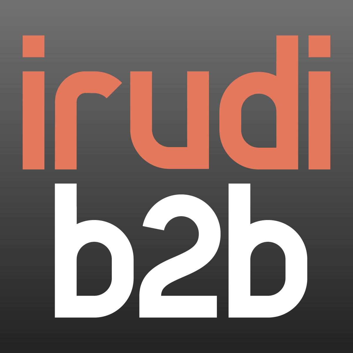 Logo de Irudi B2B