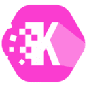 Logo de Konsyg