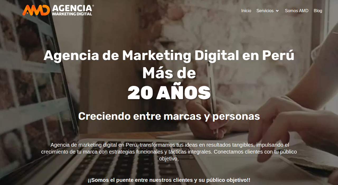 Captura de la web de AMD