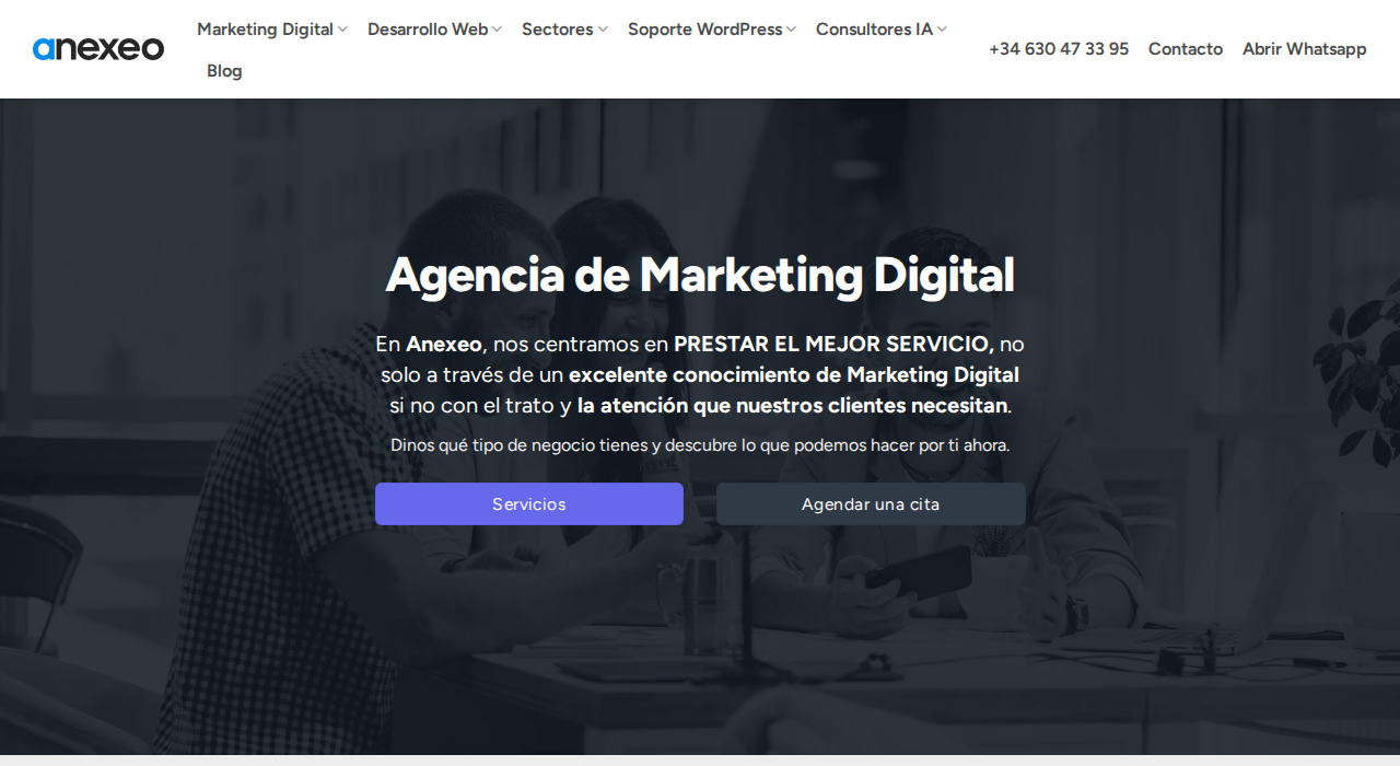 Captura de la web de anexeo