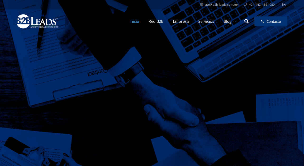 Captura de la web de B2B Leads