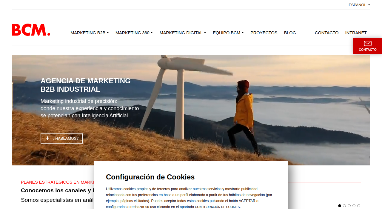 Captura de la web de bcm-marketing