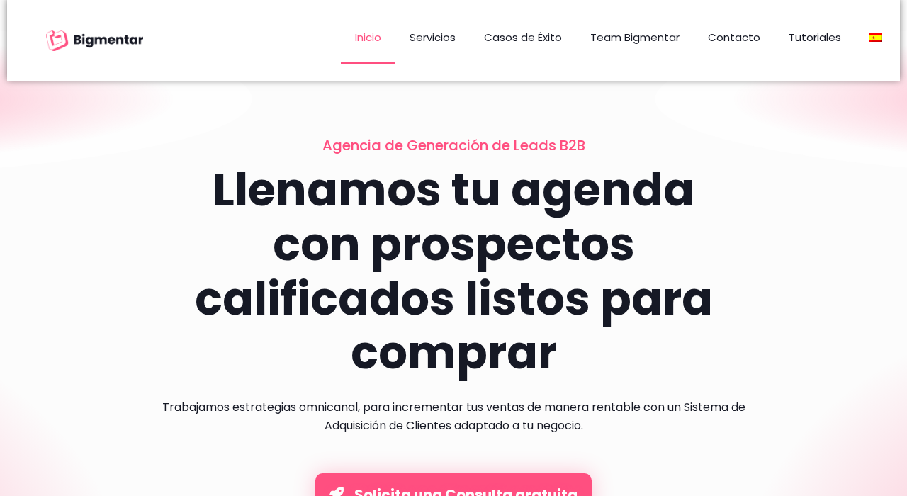 Captura de la web de bigmentar