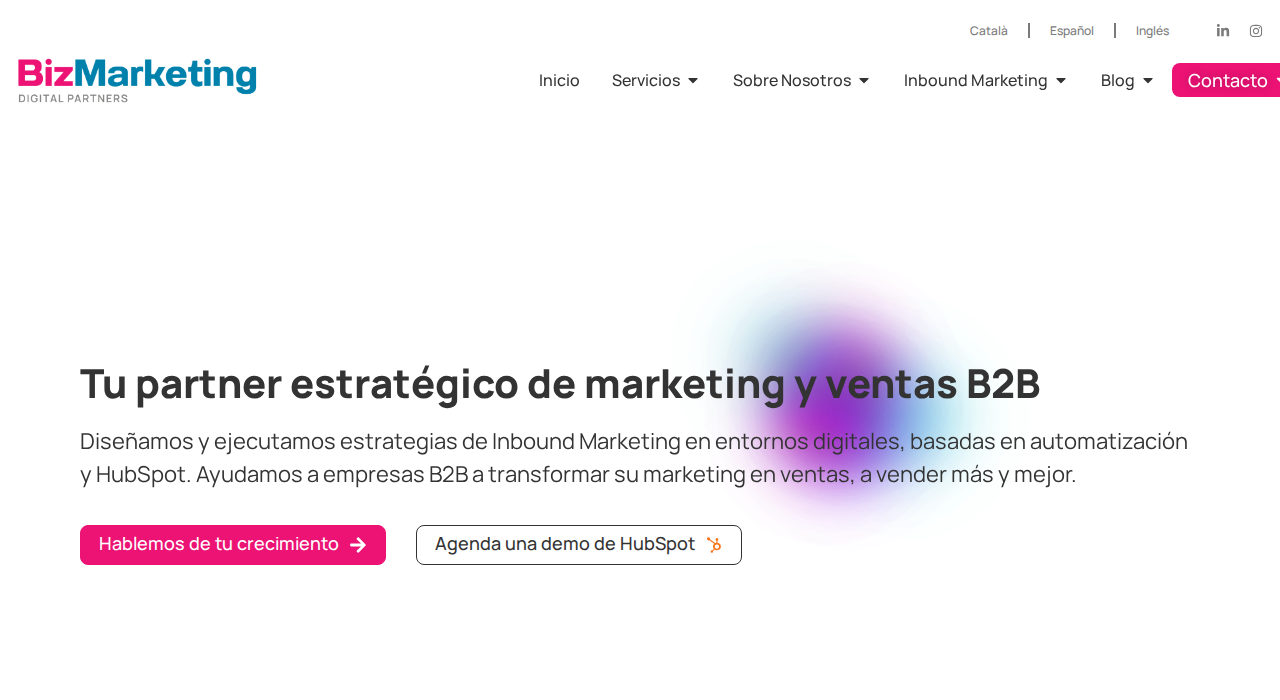 Captura de la web de BizMarketing