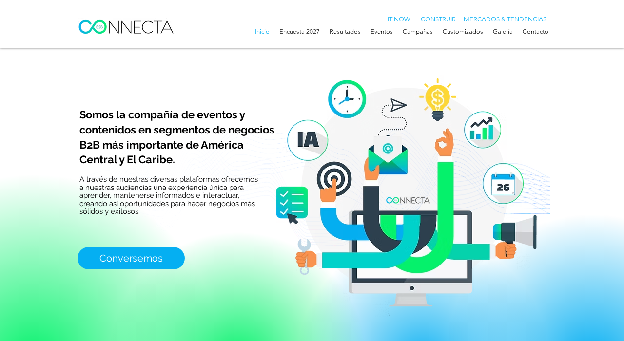 Captura de la web de connecta-b2b