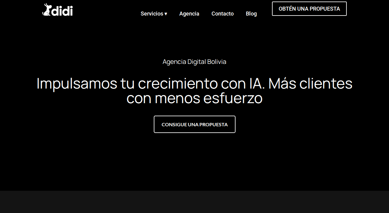 Captura de la web de didi-bolivia
