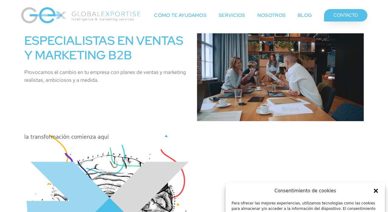 Captura de la web de Globalexportise