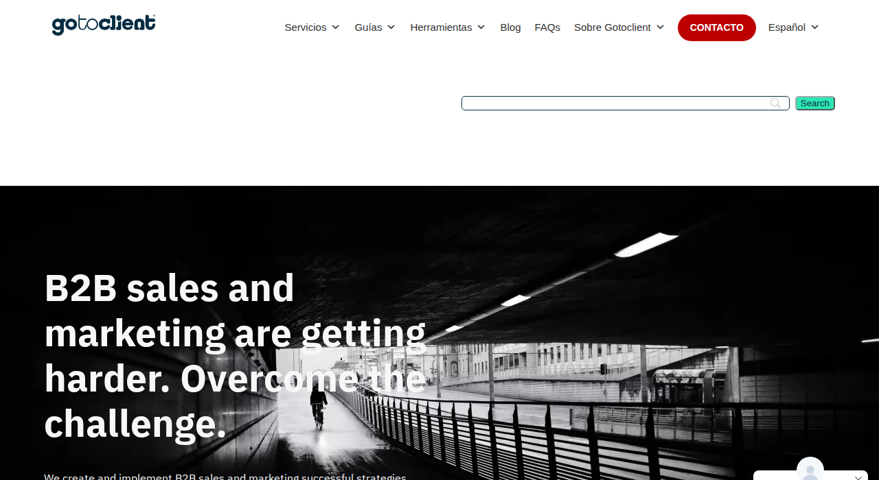 Captura de la web de Gotoclient