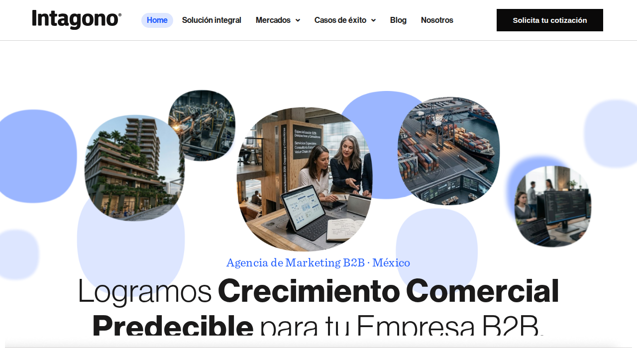 Captura de la web de Intagono