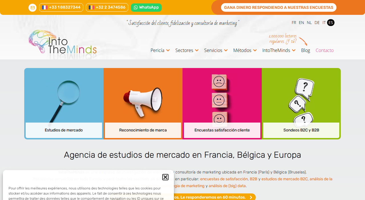 Captura de la web de IntoTheMinds