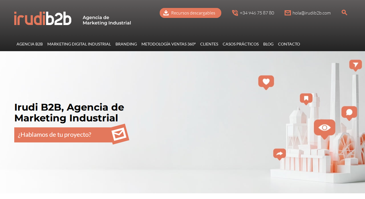 Captura de la web de Irudi B2B