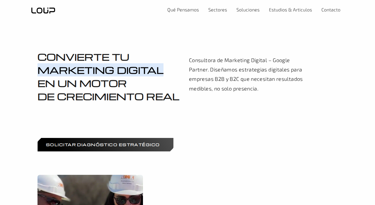 Captura de la web de LOUP
