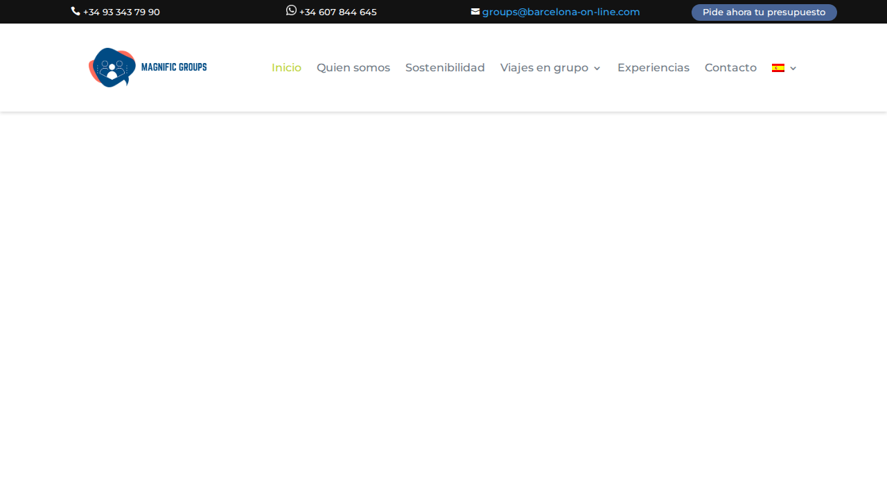 Captura de la web de magnific-groups