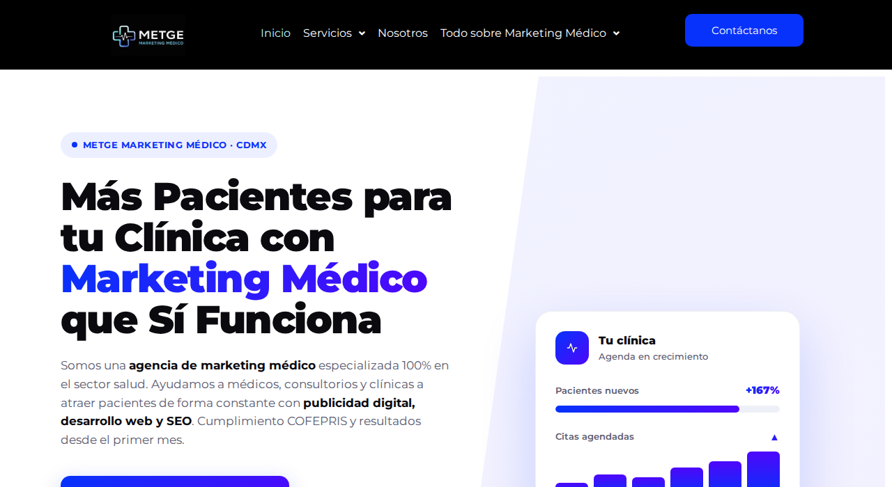 Captura de la web de METGE