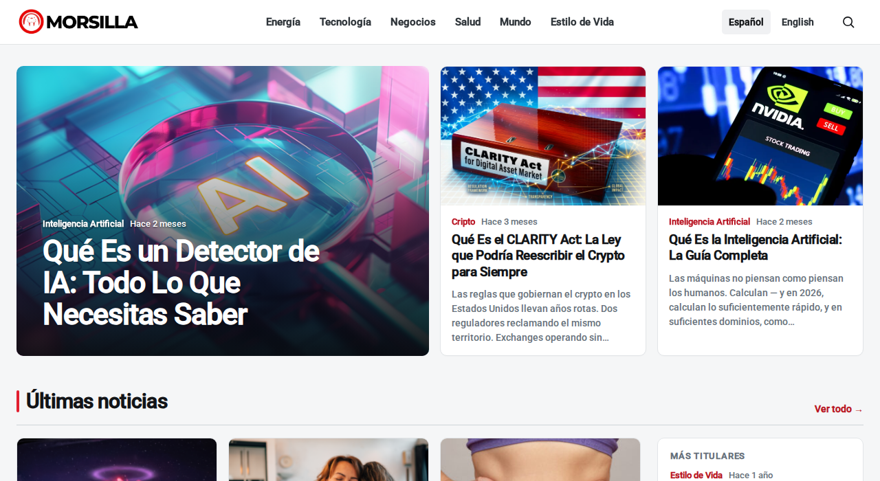 Captura de la web de morsilla