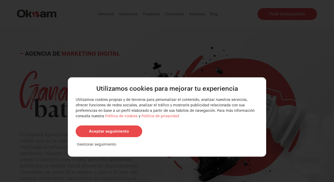 Captura de la web de okisam