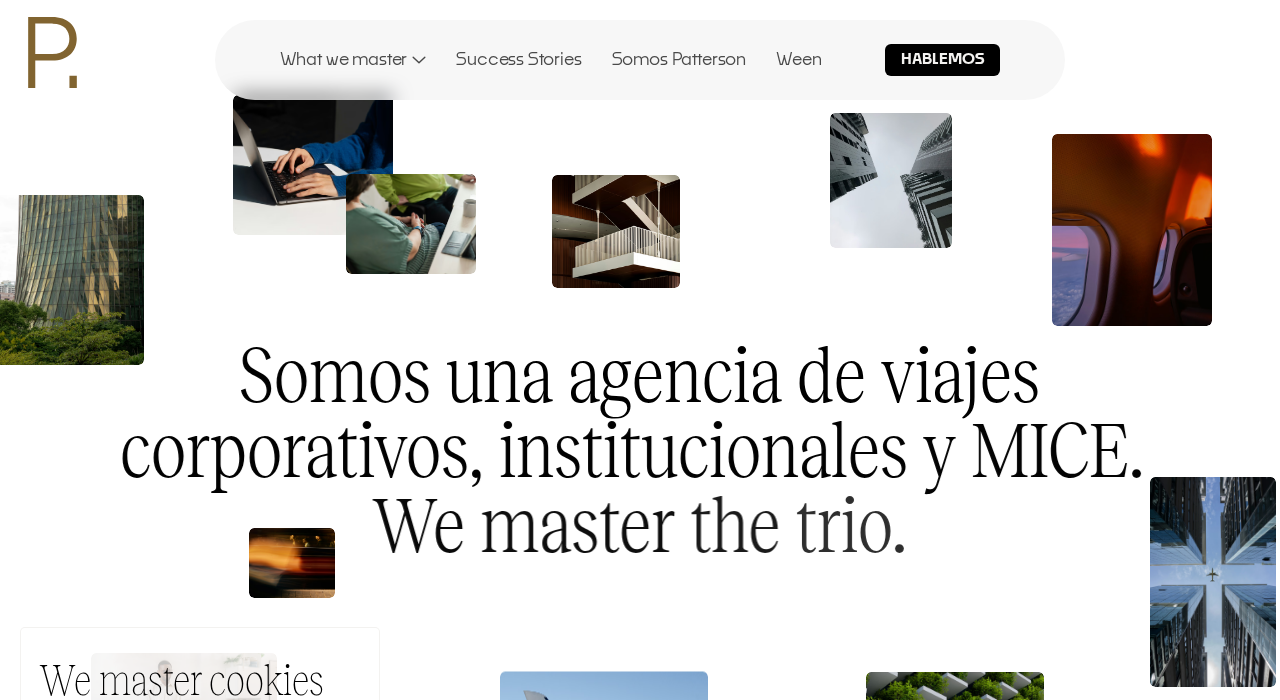 Captura de la web de patterson-travel