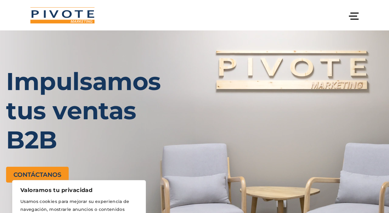 Captura de la web de Pivote Marketing