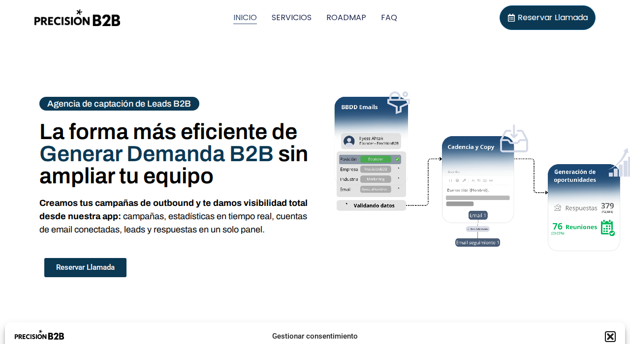 Captura de la web de PrecisionB2B