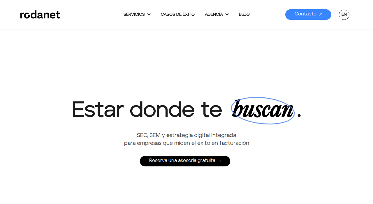 Captura de la web de rodanet-seo-marketing-digital