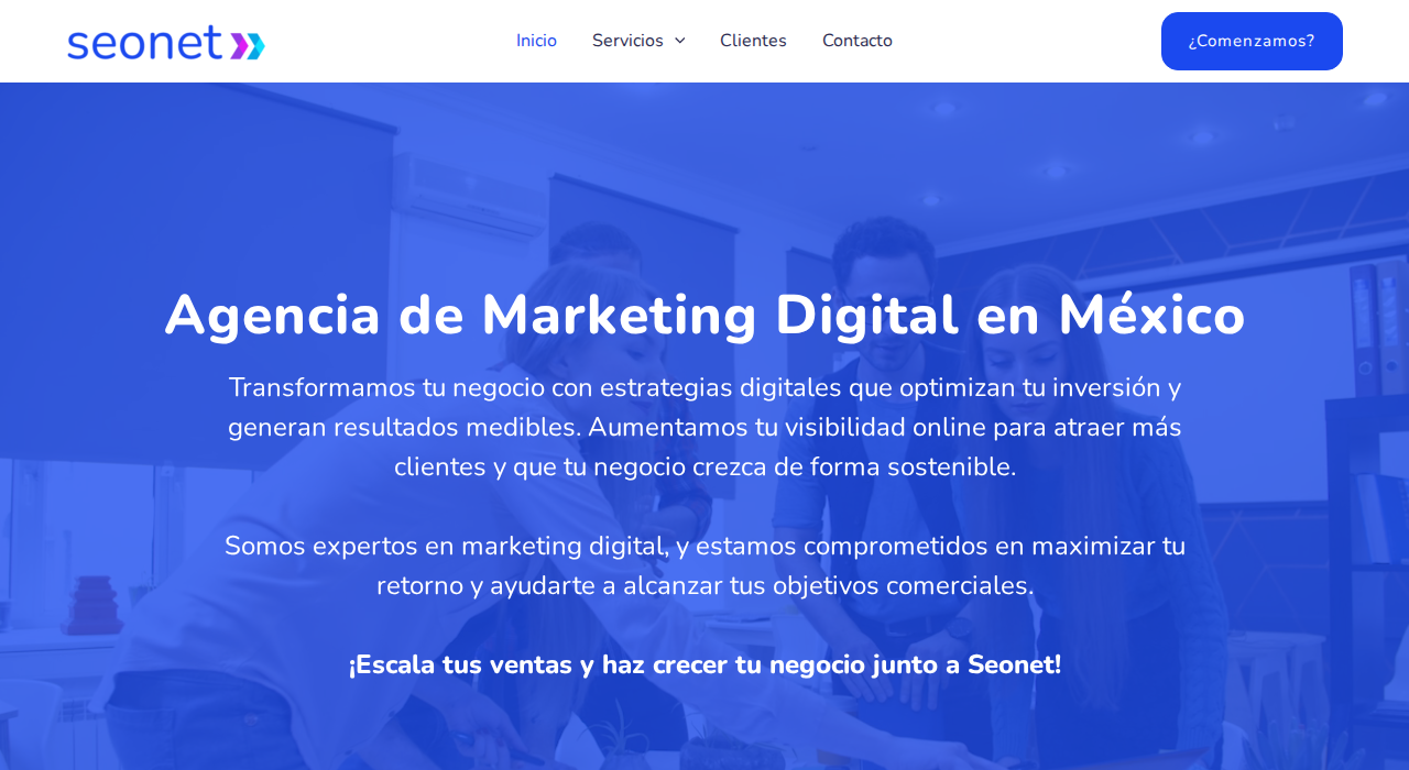 Captura de la web de seonet