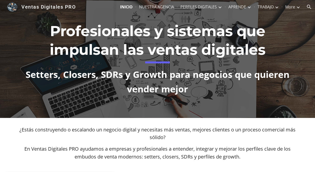 Captura de la web de settersyclosers