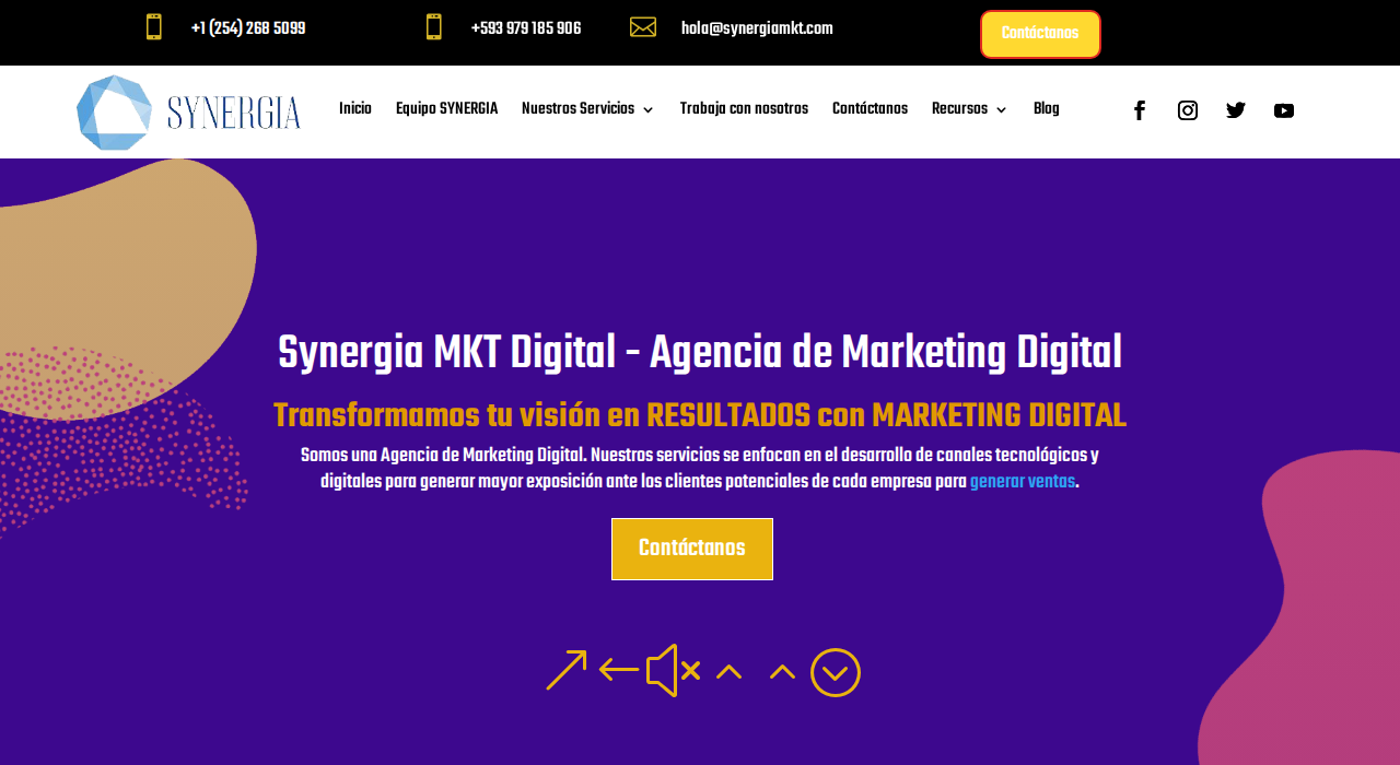 Captura de la web de Synergia MKT