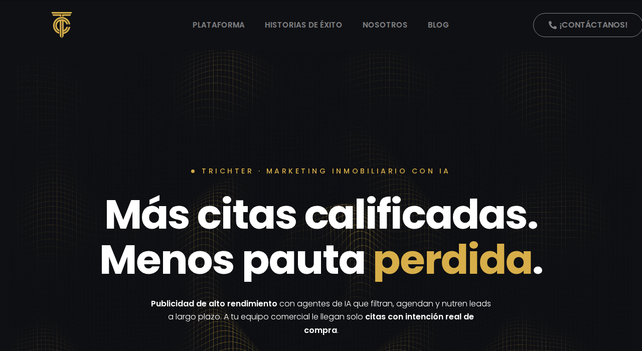 Captura de la web de Trichter Consulting