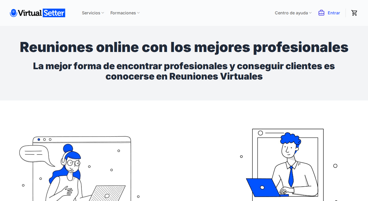 Captura de la web de VirtualSetter